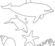 Coloriage et dessins gratuit Dauphin dans la mer à imprimer