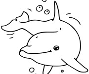 Coloriage Dauphin et bulles