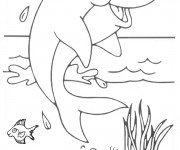 Coloriage Dauphin portant des lunettes