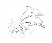 Coloriage Dauphins &agrave; t&eacute;l&eacute;charger