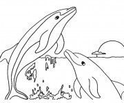 Coloriage Dauphins aimable