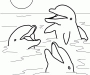 Coloriage et dessins gratuit Dauphins en train de s'amuser à imprimer