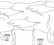 Coloriage et dessins gratuit Dauphins sous la mer à imprimer