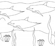 Coloriage Dauphins sous la mer