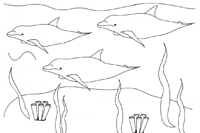 Coloriage et dessins gratuits Dauphins sous la mer à imprimer