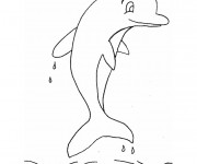 Coloriage Petit Dauphin pour enfant