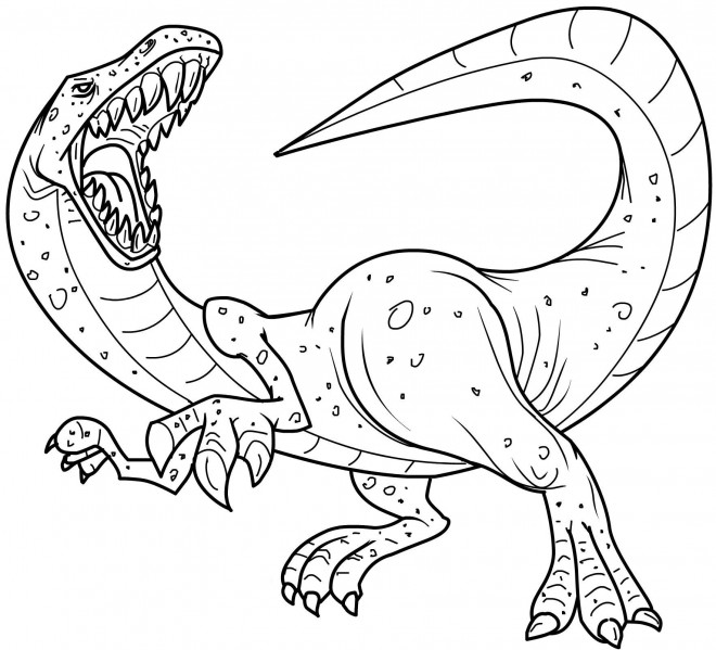 Coloriage Dessin de dinosaure Tyrex dessin gratuit à imprimer