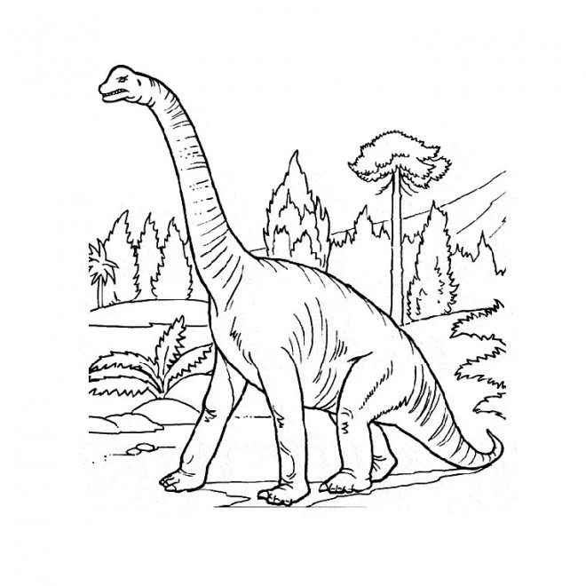Coloriage et dessins gratuits Dinosaure Brachiosaure à imprimer