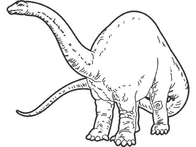 Coloriage et dessins gratuits Dinosaure couleur à imprimer