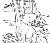 Coloriage Dinosaure herbivore