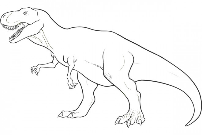 Coloriage Dinosaure tyrex couleur dessin gratuit à imprimer