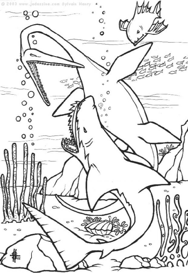 Coloriage et dessins gratuits Dinosaures d'océan à imprimer