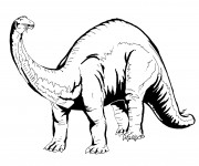 Coloriage Diplodocus