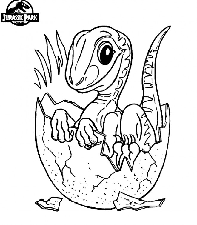 Coloriage et dessins gratuits Nouveau né dinosaure à imprimer