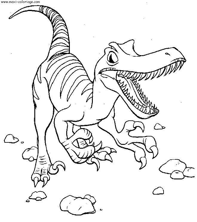 Coloriage et dessins gratuits Vélociraptor féroce à imprimer