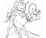 Coloriage et dessins gratuit Dromadaire Animaux à imprimer