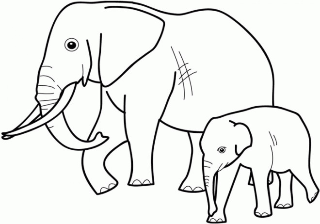 Coloriage éléphant Avec Son Bébé