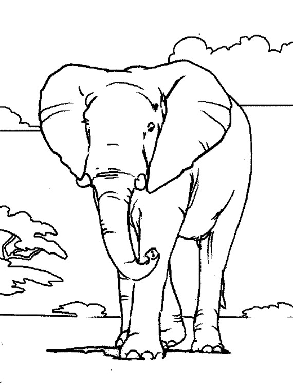 Coloriage et dessins gratuits Éléphant adulte à imprimer