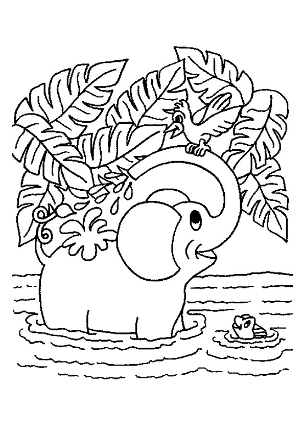 Coloriage et dessins gratuits Éléphant joue dans l'eau à imprimer