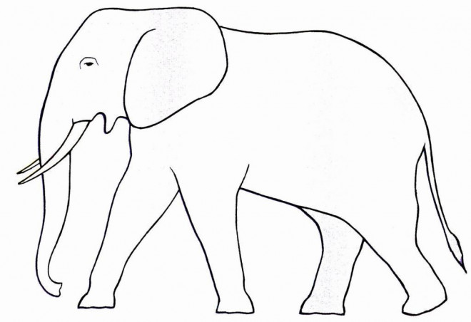 Coloriage Éléphant simple dessin gratuit à imprimer