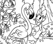Coloriage Daisy Duck avec un flamant rose