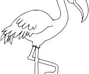 Coloriage et dessins gratuit Dessin bou&eacute;e de flamant rose à imprimer