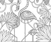 Coloriage Dessin complexe de flamant rose