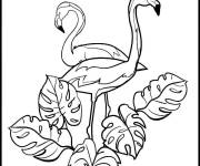 Coloriage Deux beaux flamants roses dans le buissons