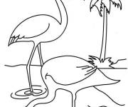 Coloriage Deux flamants roses dans l'eau simple