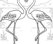 Coloriage Deux flamants roses romantiques
