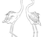 Coloriage Deux flamants roses s'amusent dans la marais