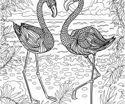 Coloriage Deux oiseaux flamants roses difficile