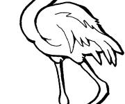 Coloriage et dessins gratuit Flamant rose &agrave; colorier à imprimer