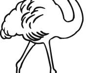Coloriage et dessins gratuit Flamant rose &agrave; imprimer à imprimer