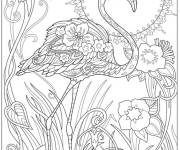 Coloriage Flamant rose anti-stress