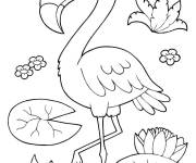 Coloriage Flamant rose avec des lotus