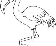 Coloriage Flamant rose debout &agrave; colorier