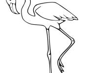 Coloriage et dessins gratuit Flamant rose en marchant à imprimer
