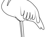 Coloriage et dessins gratuit Flamant rose en maternelle à imprimer
