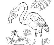 Coloriage Flamant rose en parlant avec la grenouille