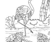 Coloriage Flamant rose entre les plantes