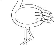 Coloriage et dessins gratuit Flamant rose facile pour enfant à imprimer