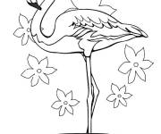 Coloriage Flamant rose gracieux