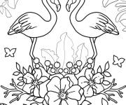Coloriage Flamant rose, l'oiseau tropicale