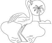 Coloriage Flamant rose sur l'ile