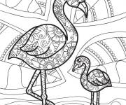 Coloriage La m&egrave;re et le petit flamant rose d&eacute;stressant