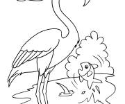 Coloriage La nourriture du flamant rose est la 