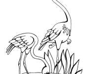 Coloriage Les flamants roses dans le marais