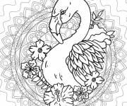 Coloriage Mandala flamant rose pour adulte