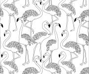 Coloriage et dessins gratuit Plusieurs illustrations de flamants roses à imprimer